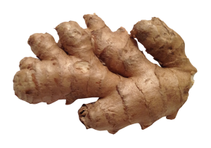 Ginger PNG-16785